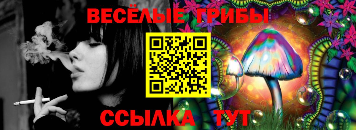 Галлюциногенные грибы Magic Shrooms Кострома